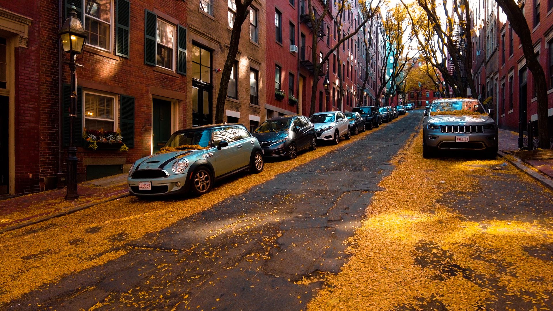 Beacon Hill, Boston by day in late fall: yellow leaves blanketing a narrow street and the roofs of parked cars.