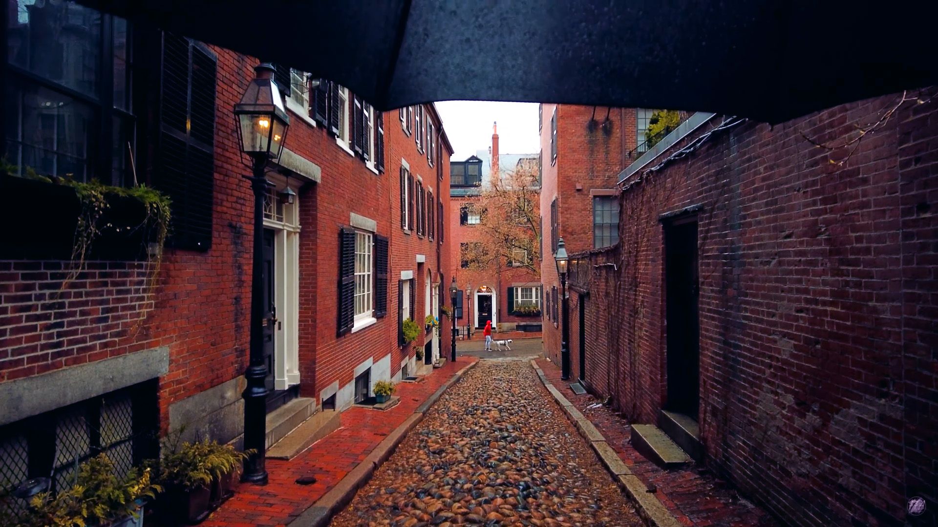 Beacon Hill in daytime rain: a lit gas lamp over wet cobblestones, seen from under the edge of a black umbrella.