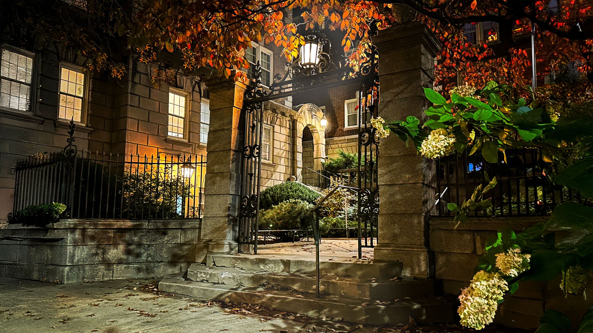 Cambridge at midnight in autumn: a lamplit iron gate between stone pillars, white hydrangeas still blooming beside it.