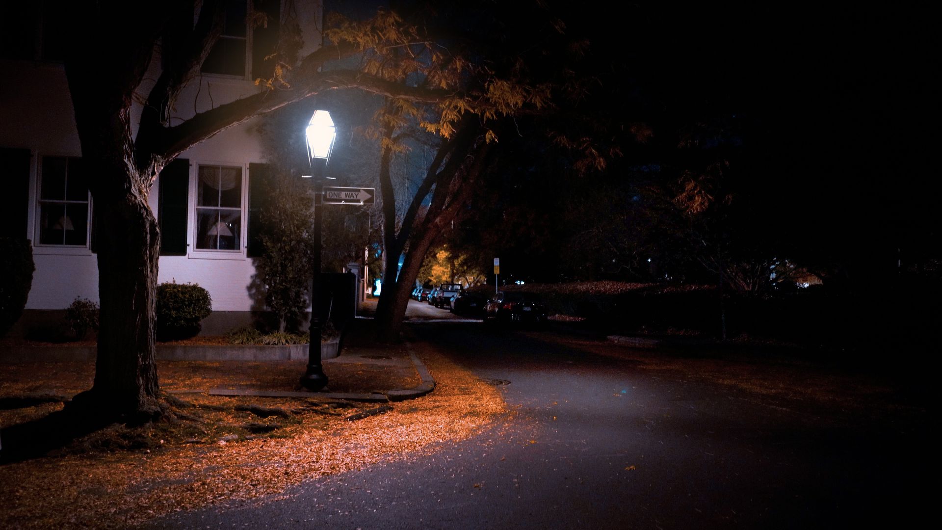 Salem, Massachusetts at 2 AM in autumn night: a lantern streetlamp glowing over fallen leaves at a one-way corner