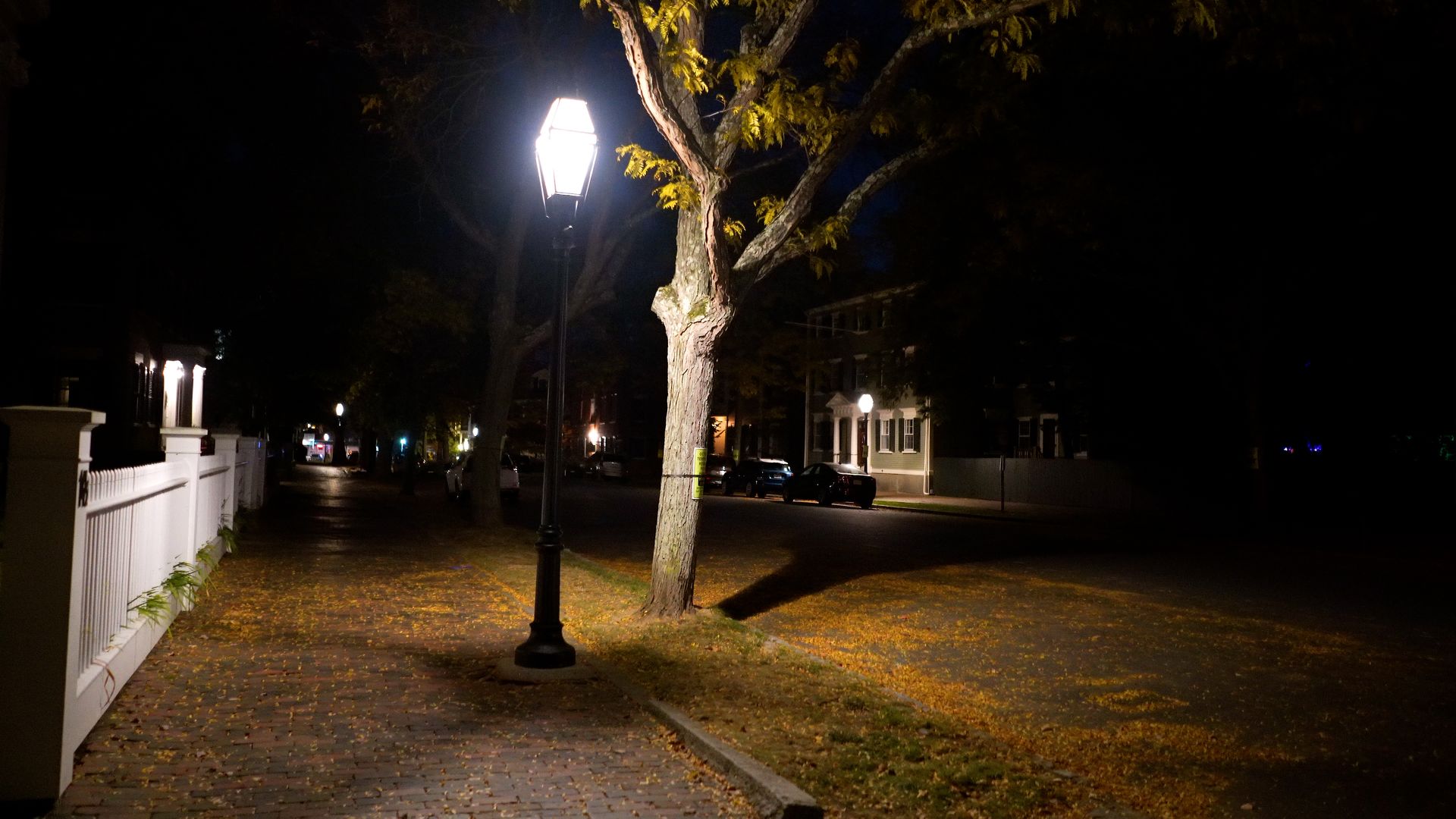 Salem, Massachusetts at 2 AM in autumn night: a lantern streetlamp glowing over fallen leaves at a one-way corner