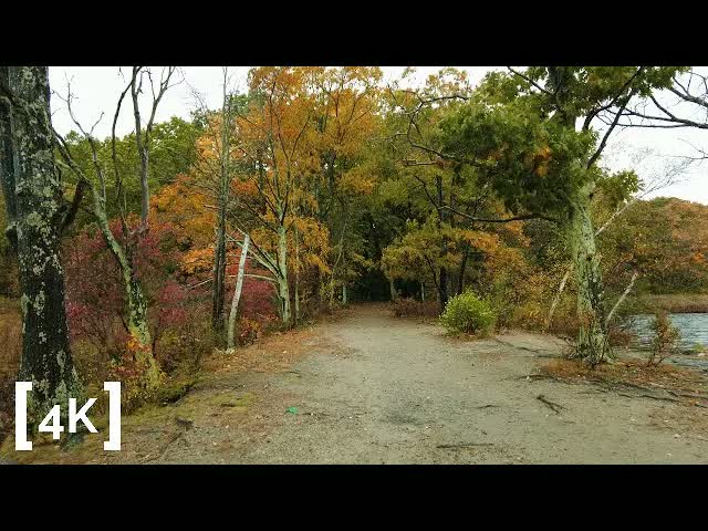 Cutler Park at afternoon in rain: a gravel path curving between autumn-colored trees at the river's edge