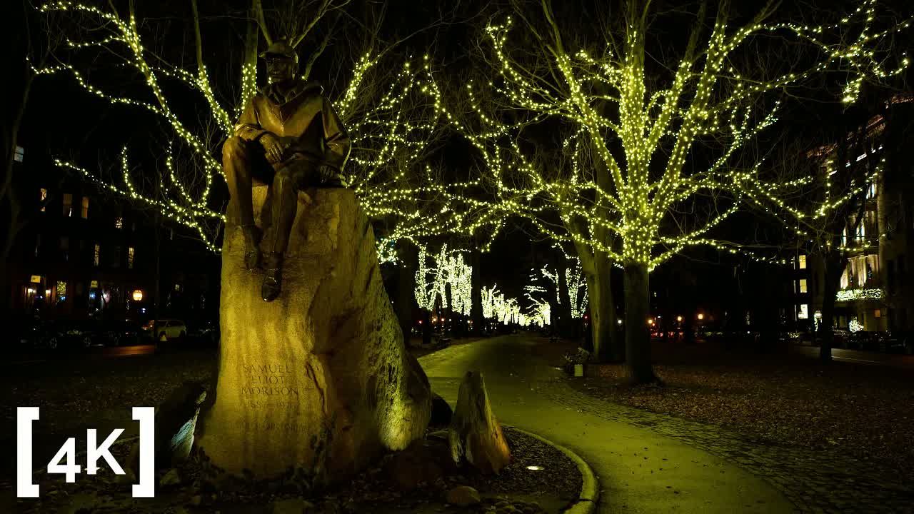 Commonwealth Avenue, Boston at night in rain: the Samuel Eliot Morison statue seated under trees strung with white lights.