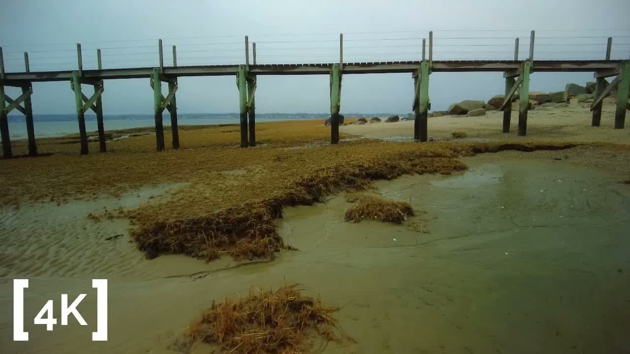 New England beach at morning in rain: a timber footbridge on green-painted pilings over rain-wet tidal sand and windrows of seaweed.