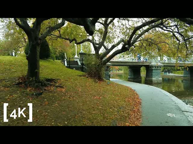 Boston Public Garden in the afternoon after rain: fallen leaves on a wet path curving toward the lagoon footbridge.