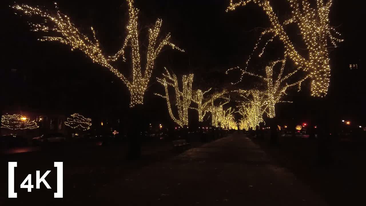 Downtown Boston at night after rain: bare trees wrapped in strings of white lights over a dark walkway