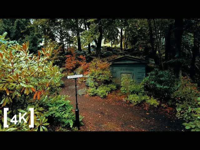 Mount Auburn Cemetery at daytime in rain: a granite tomb set into a planted hillside beside a black lane sign