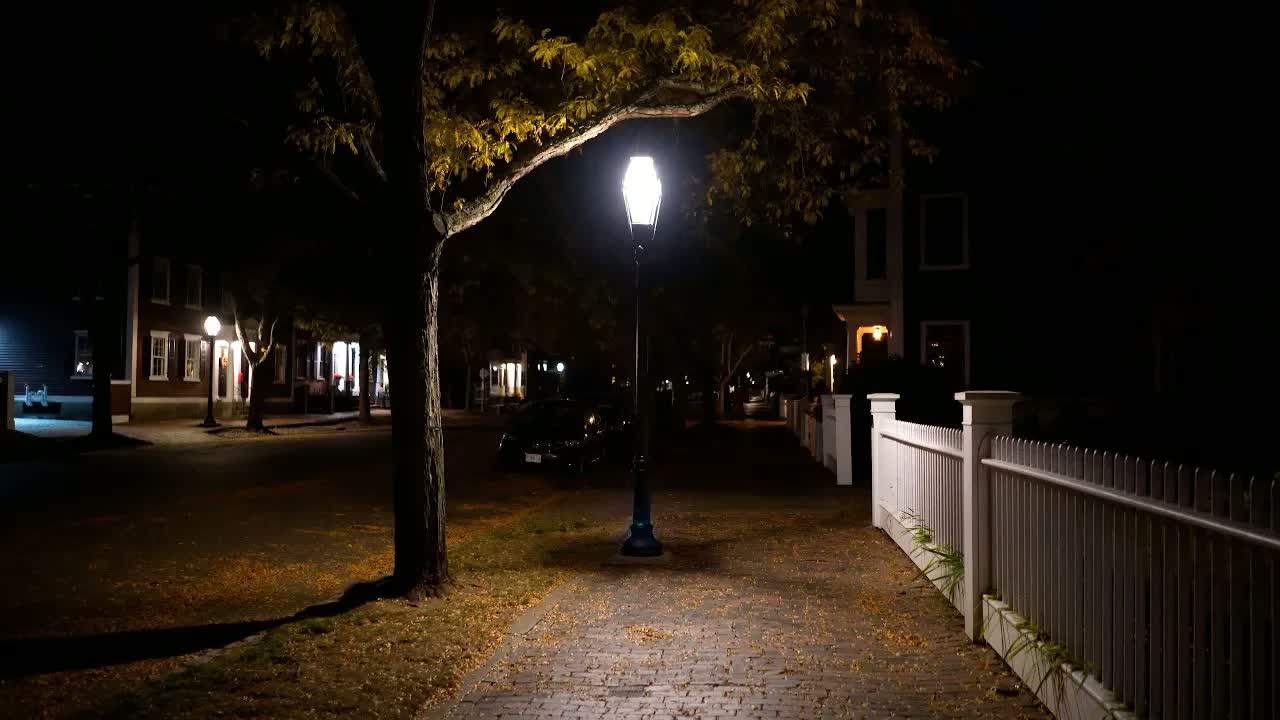 Salem at 2 AM in the dark: a lantern-style lamppost lit above a brick sidewalk scattered with fallen leaves