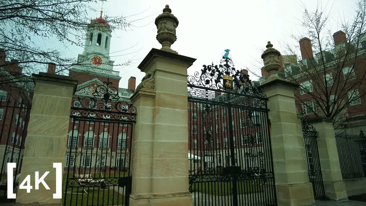 Harvard University at morning in rain: a black wrought-iron gate between stone piers, a brick clock tower behind bare branches
