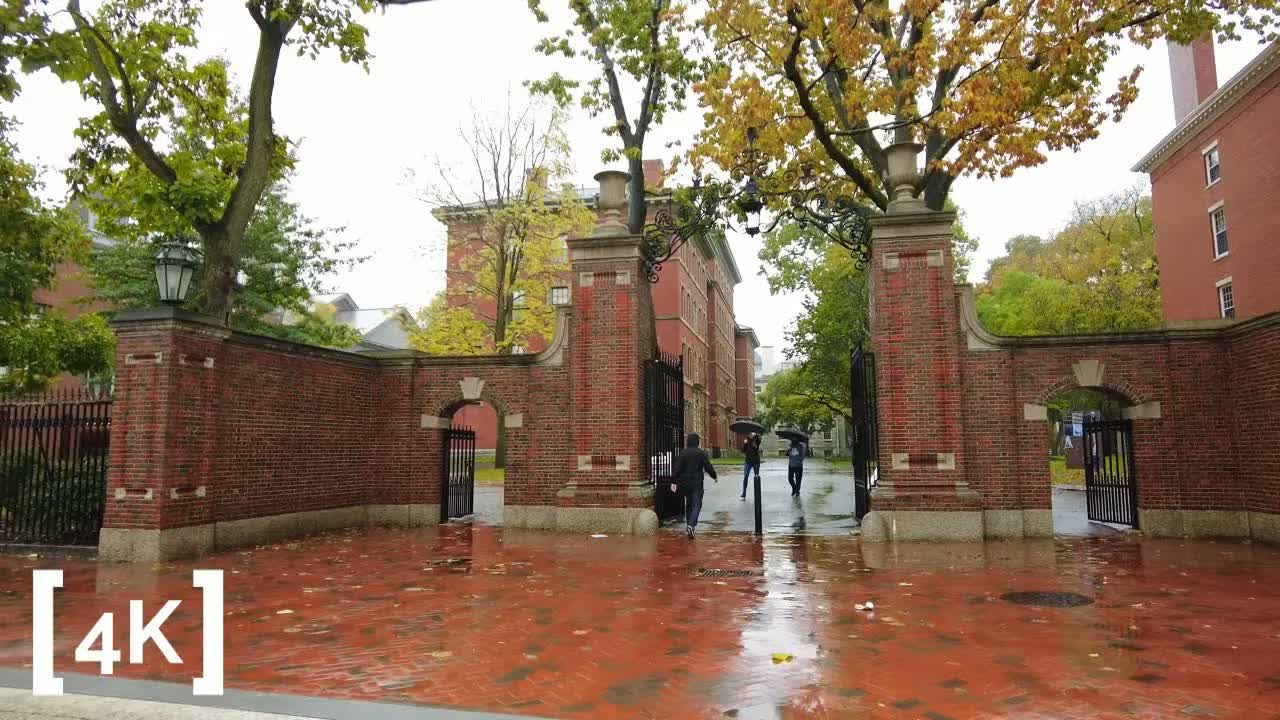Harvard Square at morning in rain: umbrellas passing through open iron gates in a red-brick wall.