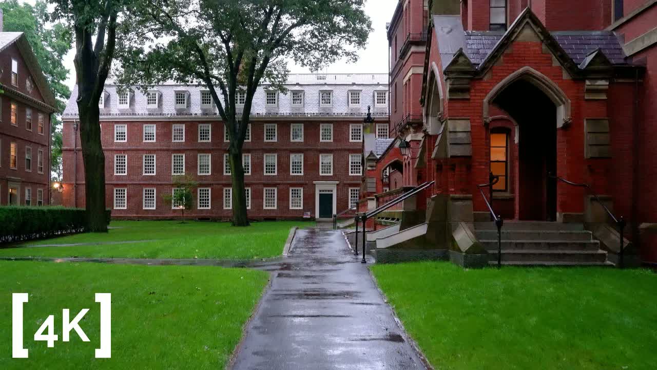 Harvard Yard, Cambridge in daytime rain: a wet path crossing the lawn toward a brick entryway with a lit doorway.