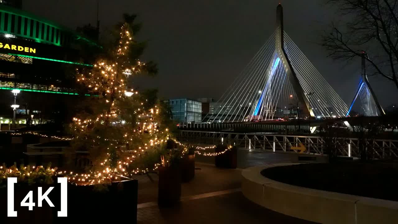 Zakim Bridge, Boston at late night after rain: the bridge's cables lit in white and blue beyond a tree wrapped in string lights.