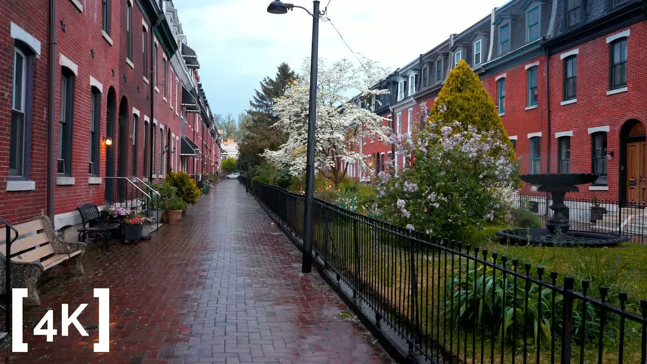 Philadelphia at evening in rain: red-brick rowhouses and a flowering dogwood along a wet brick sidewalk with an iron fence.