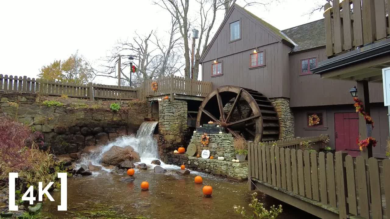 Plymouth at morning in rain: pumpkins floating in the brook below the mill's wooden waterwheel