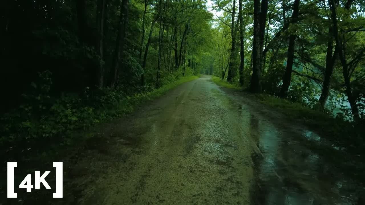 A New England river trail at morning in heavy rain: puddles standing on a dirt path between wet trees