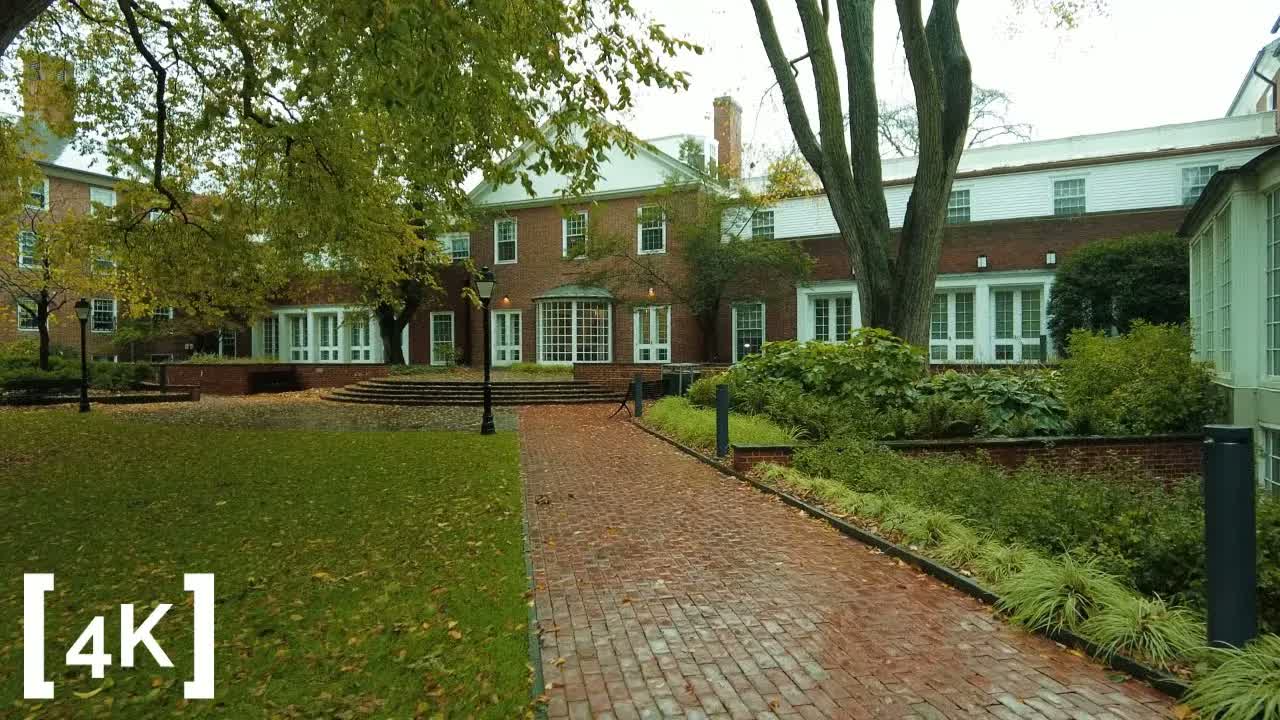 Harvard Square, Cambridge at morning in light rain: a curved brick path to a bay-windowed brick hall, wet leaves scattered across the lawn.