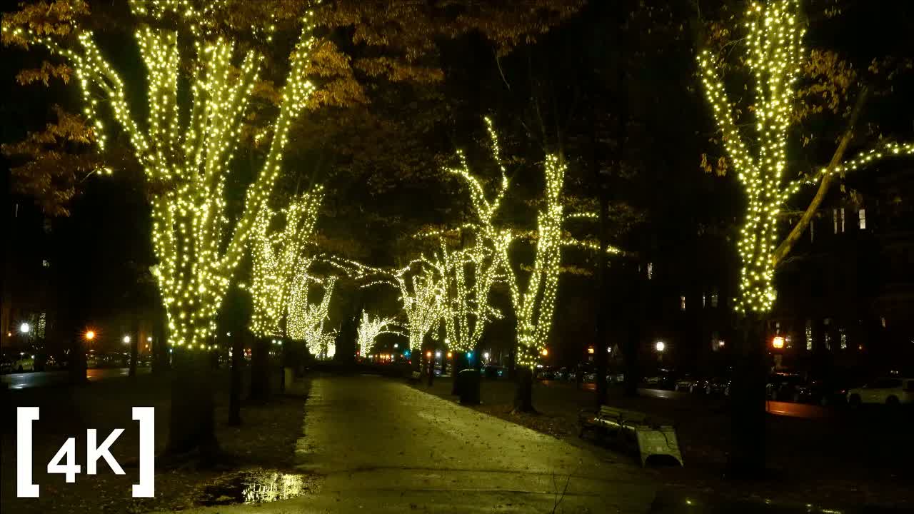 Commonwealth Avenue Mall, Boston at midnight in rain: bare trees wrapped in white lights above a puddled path