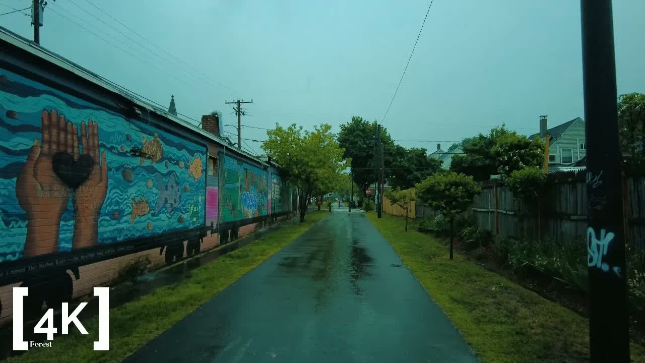 A New England mill town at early morning in heavy rain: a wet rail-trail beside a long mural of painted hands and fish.
