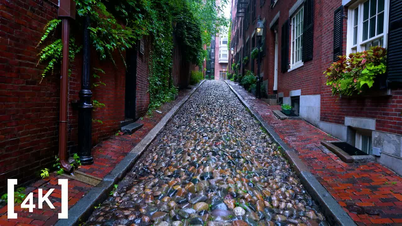 Beacon Hill on a summer afternoon in heavy rain: wet cobblestones between brick rowhouses, ivy and flower boxes on the walls.