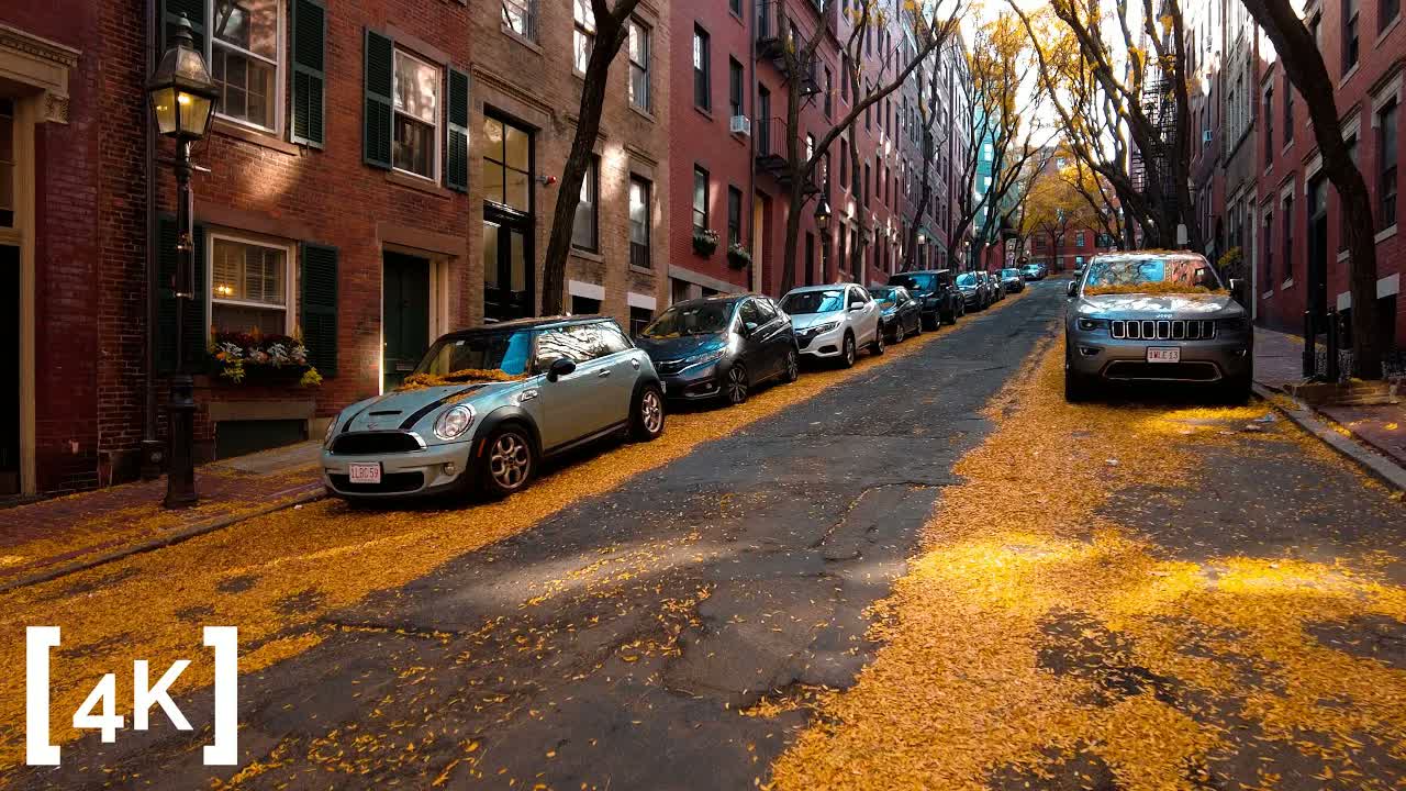 Beacon Hill, Boston by day in late fall: yellow leaves blanketing a narrow street and the roofs of parked cars.