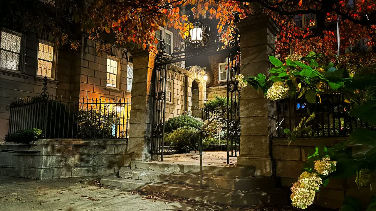 Cambridge at midnight in autumn: a lamplit iron gate between stone pillars, white hydrangeas still blooming beside it.