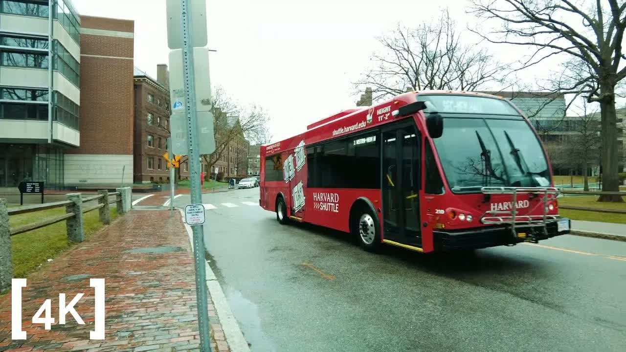 Cambridge at morning in rain: a red Harvard shuttle bus passing a rain-darkened brick walkway