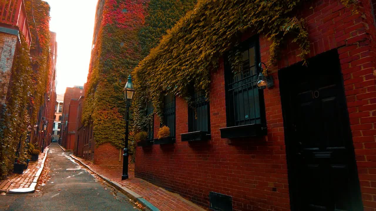 Beacon Hill at daytime in autumn: red and orange ivy covering a brick rowhouse beside a gas lamp