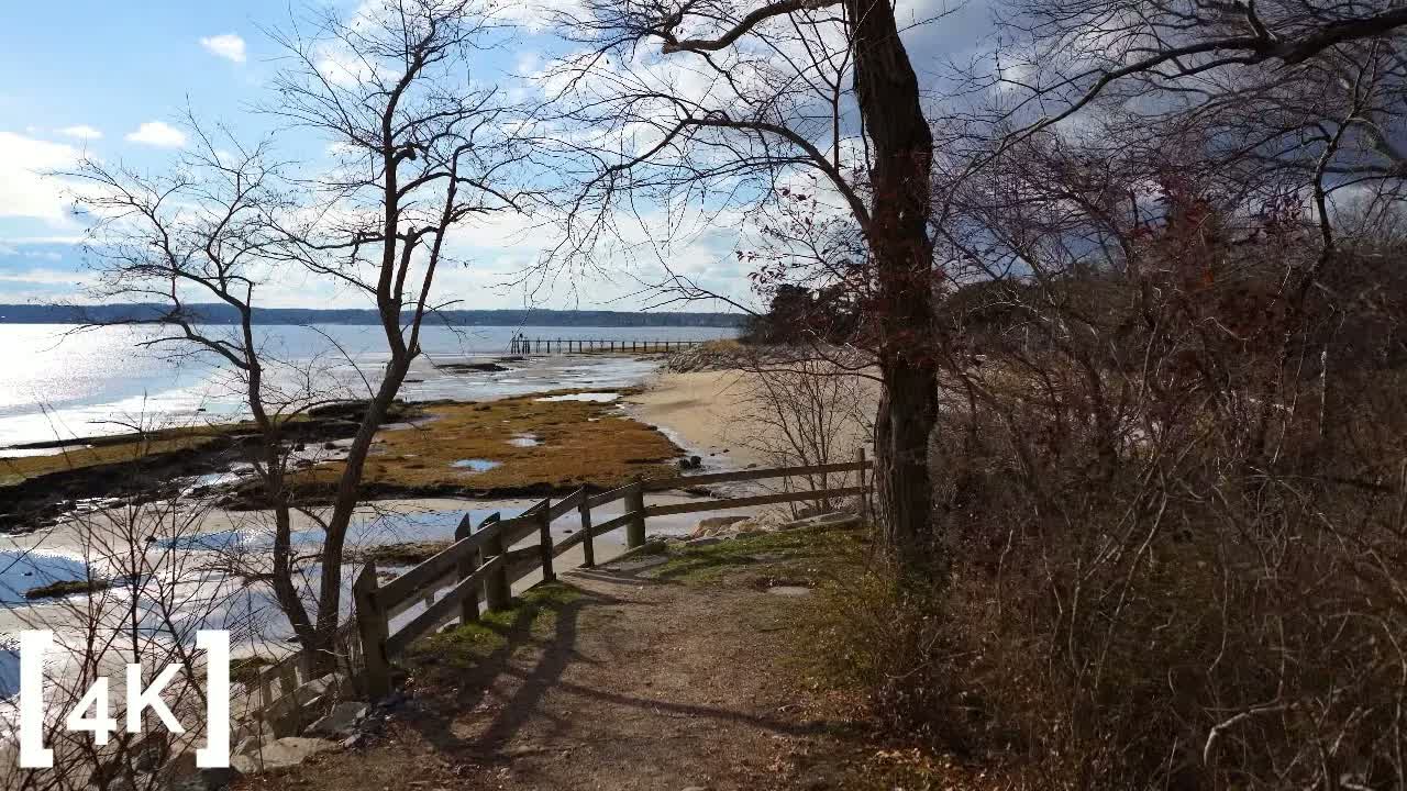 A New England beach on a winter morning at low tide: a wooden rail fence along the path above exposed tidal flats