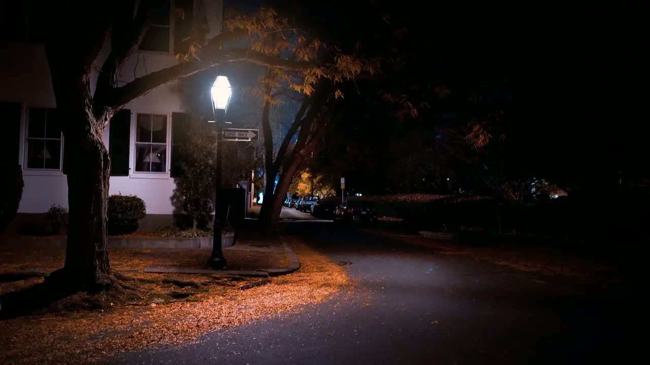 Salem, Massachusetts at 2 AM in autumn night: a lantern streetlamp glowing over fallen leaves at a one-way corner