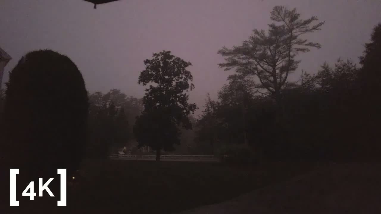 A yard at dusk in a summer thunderstorm: trees gone to silhouette under a rain-grey sky, the umbrella's edge overhead.